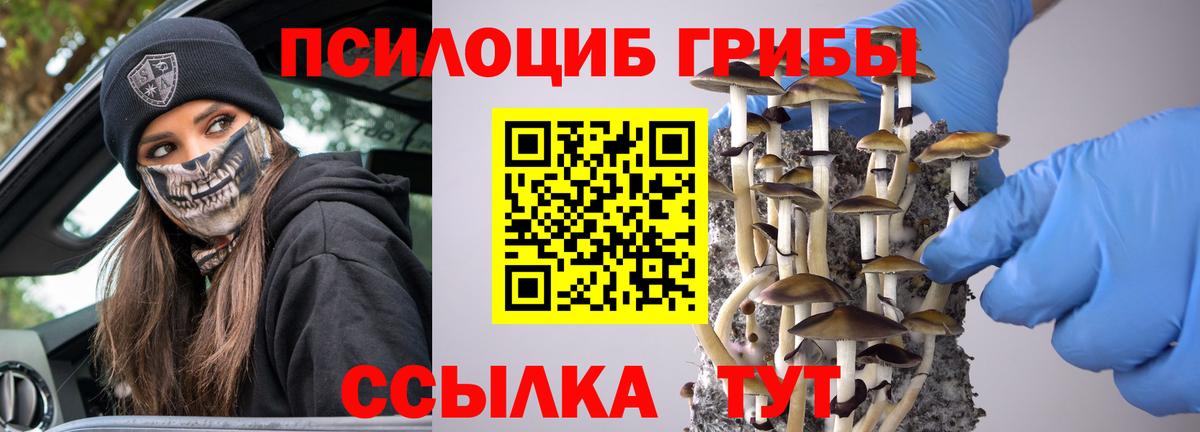 Галлюциногенные грибы Magic Shrooms  Псилоцибиновые грибы Psilocybe  Дивногорск  Вход с VPN 